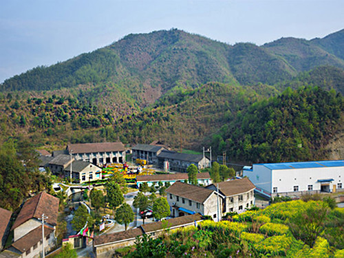 热烈祝贺九游网页版·官方端入口正式上线！